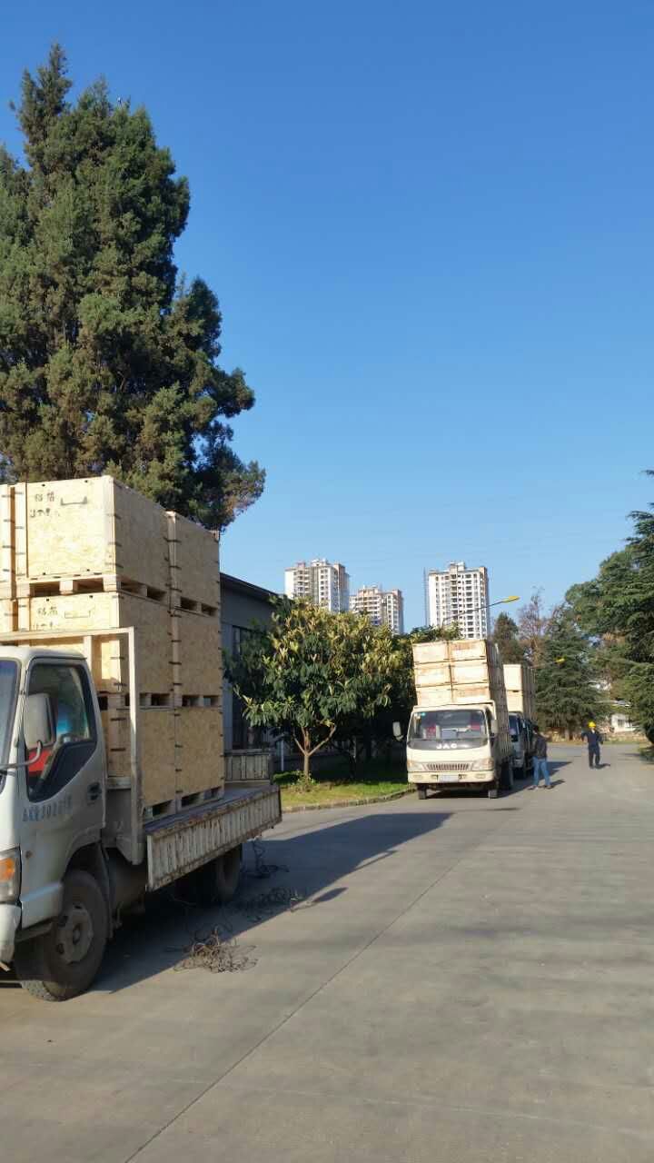 云南木托盤出廠要經(jīng)過(guò)哪些檢測(cè)